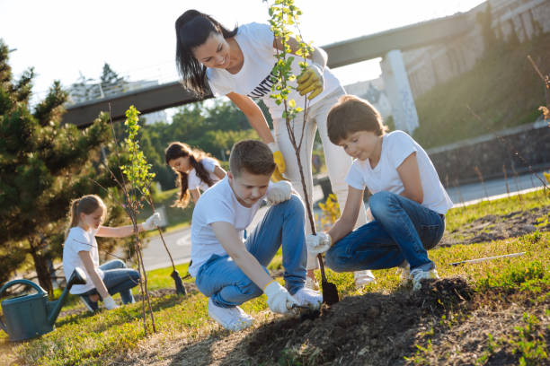 istock Attentive boys planting new tree in park 822397562