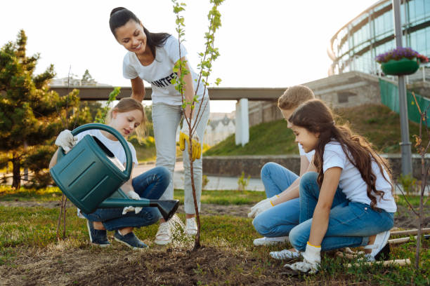 istock Attentive little girl pouring young tree 822403438