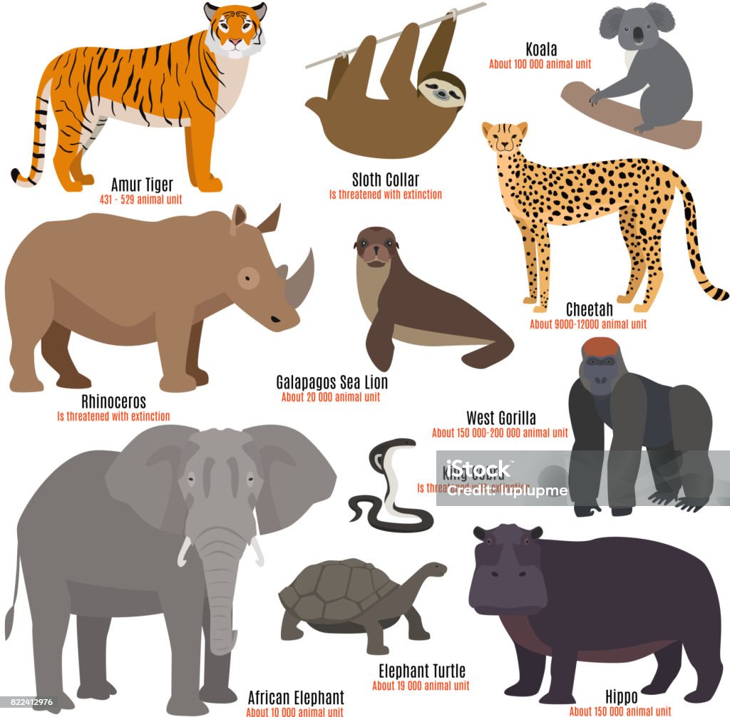 Different kinds deleted species die out rare uncommon red book animals dying wild nature characters vector illustration Different kinds deleted species dying rare uncommon red book animals characters vector illustration. Polar bear zebra sea lion big panda western gorila magellanic penguin king cobra african elephant Endangered Species stock vector