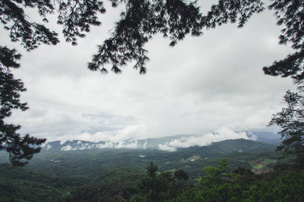 istock Nature tourism forest Rainy day 822413106
