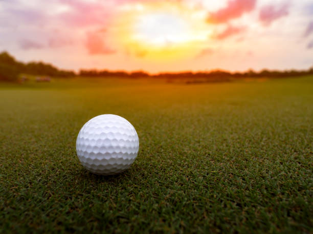 istock Golf ball on the green grass in beautiful golf course at sunset background, happy golf game 822423536