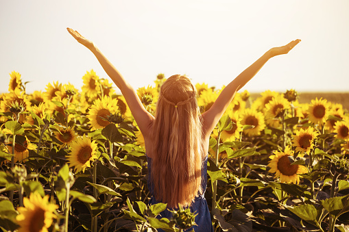 Happy woman enjoys spending time in sunflower field.Image is intentionally toned.
