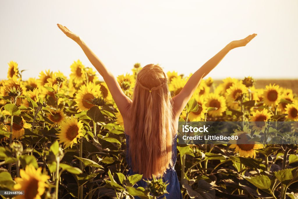 Woman enjoys in sunflower field Happy woman enjoys spending time in sunflower field.Image is intentionally toned. Women Stock Photo