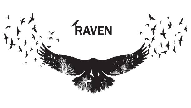 stockillustraties, clipart, cartoons en iconen met vectorillustratie van de raven silhouet met de fladderende vleugels. dubbele blootstelling effect. - snavel