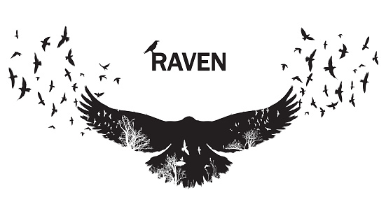 Vector illustration of the raven silhouette with the fluttering wings. Double exposure effect.