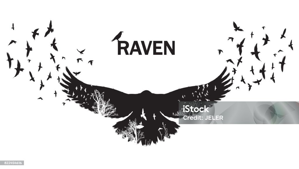 Vector illustration of the raven silhouette with the fluttering wings. Double exposure effect. Raven - Bird stock vector