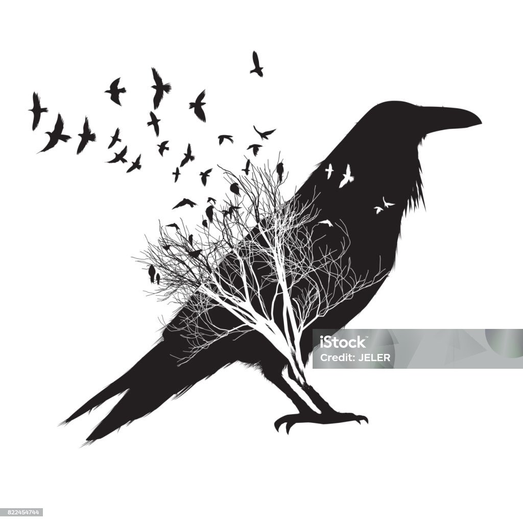 Isolated Raven double exposure. Trees and birds silhouettes on background Isolated  Raven double exposure. Trees and birds silhouettes on background Raven - Bird stock vector