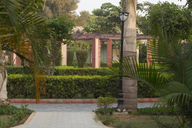 istock Plants in tropical park northern India 822459310