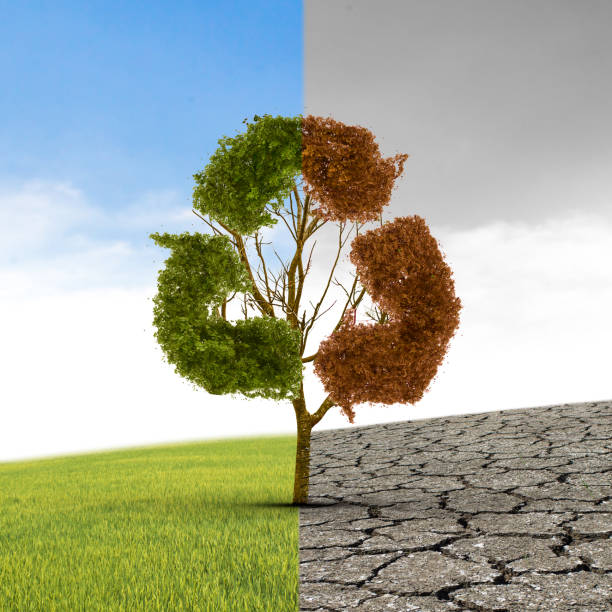 istock The concept of climate has changed. Half alive and half dead tree standing at the crossroads. The concept of world love and clean energy 822462920