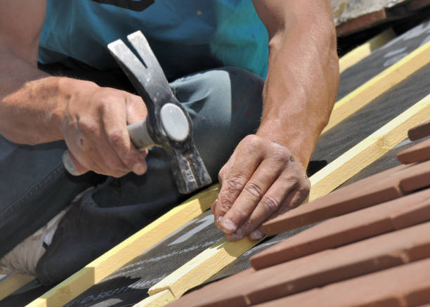 istock nail slats on a roof 822463262