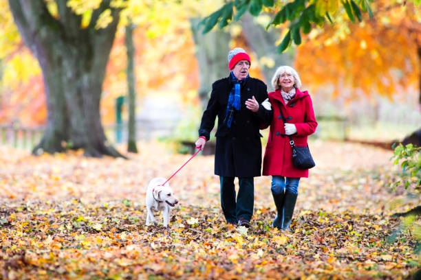 istock Autumn Walk With The Dog 822500038