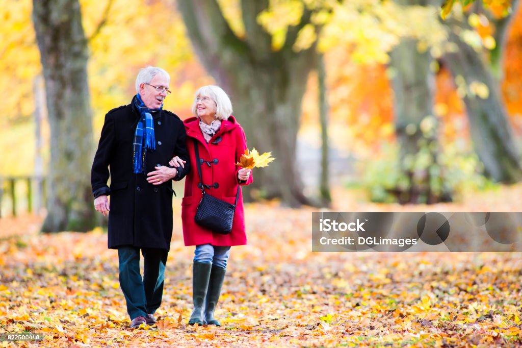 Senior Couple Enjoying Autumn Walk Senior couple are walking together through the autumn woods. The woman is arm in arm with her husband and is carrying leaves. Autumn Stock Photo