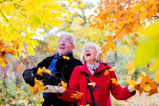 Photo of Senior Couple Loving Autumn