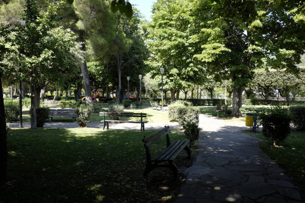 park in the city