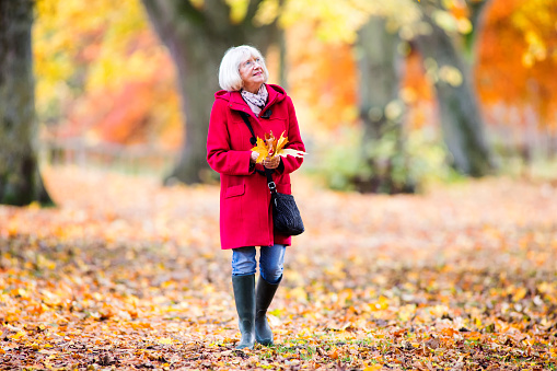 Senior woman is enjoying an independent walk through the autumn woods. She is collecting leaves and enjoying the views.