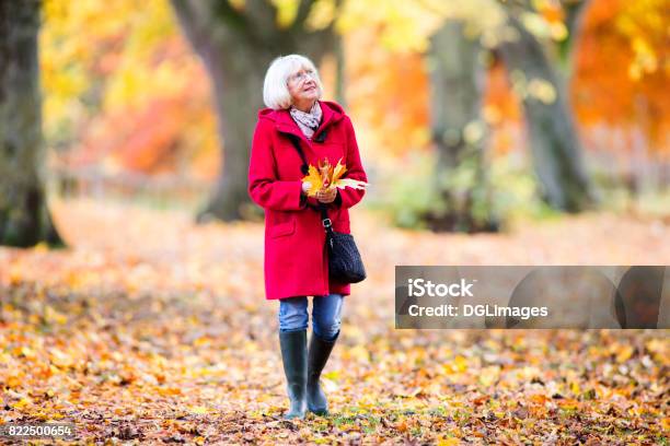 Enjoying An Autumn Walk Stock Photo - Download Image Now - Senior Adult, Independence - Concept, Walking