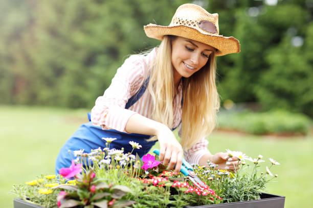 istock Woman growing flowers outside in summer 822520918