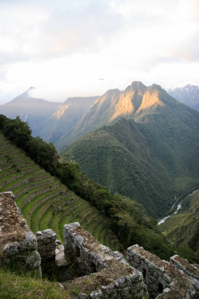 istock Peruvian farming terrace built into the side of a hill 822524174