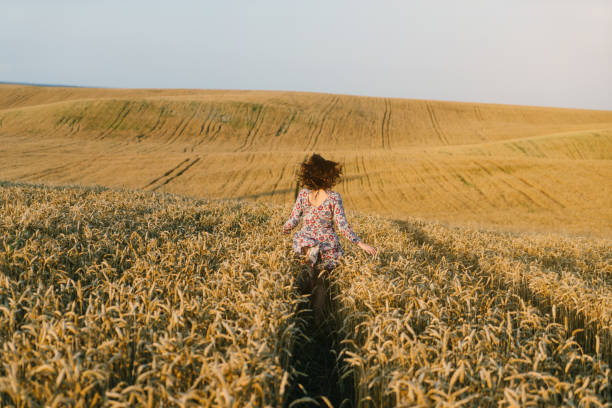 istock Woman running in the wheat field 822547224
