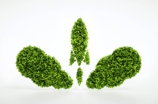 istock Eco startup concept isolated on white. 3d illustration 822584210