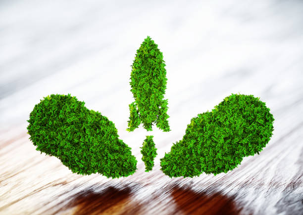 istock Eco startup concept isolated on white. 3d illustration 822584224