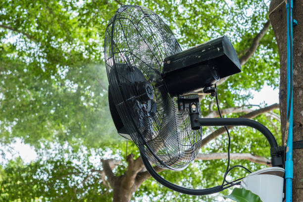 istock A big fan on a tree at a garden.Thailand. 822584384