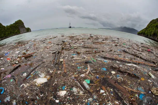 Plastic garbage has washed up on a remote beach in Raja Ampat, Indonesia. Plastic is an ever-growing danger to marine ecosystems throughout the world.