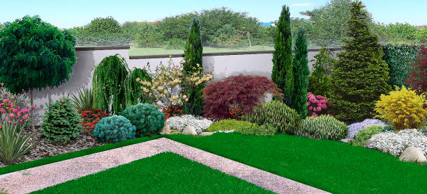 Unified look of backyard, 3d render Natural grounds surrounding a home with trees and shrubs of various shapes and sizes integrated into the natural environment. chamaecyparis stock pictures, royalty-free photos & images