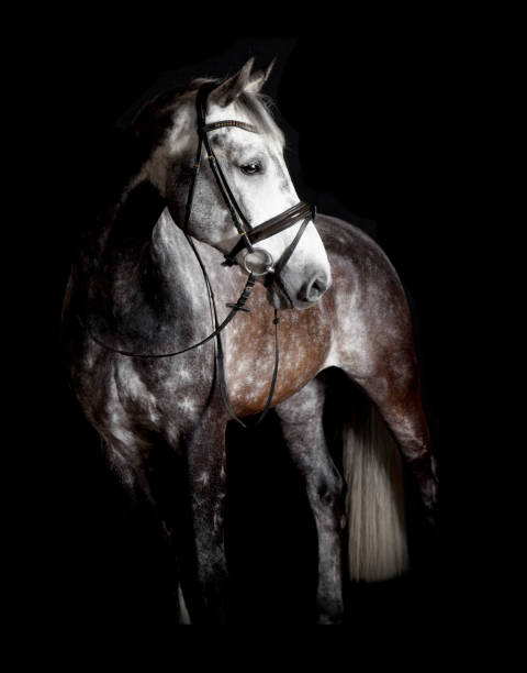 istock white with trense black background 822623790