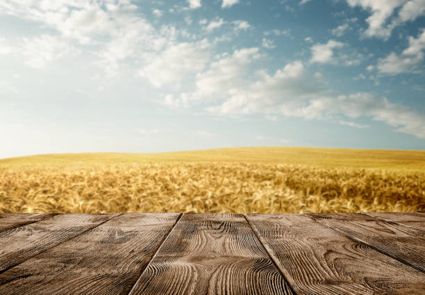 empty wooden table over wheat field - country bread imagens e fotografias de stock