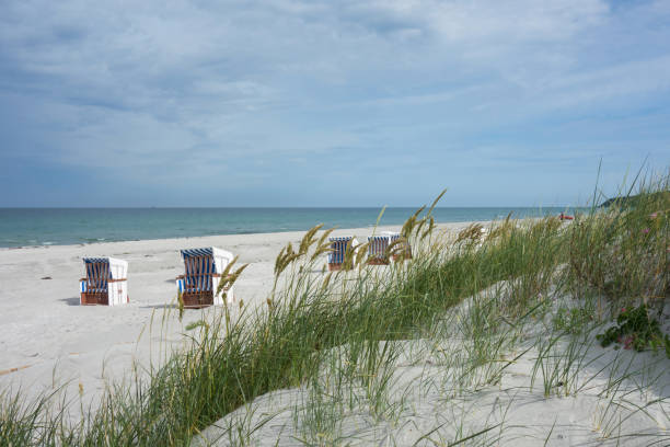 Dune At Hiddensee Island Beach With Beach Chairs In The Background