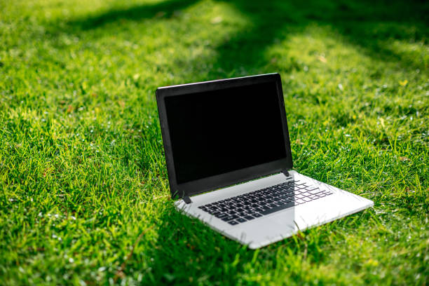 istock Laptop with blank screen on green lawn 822630396
