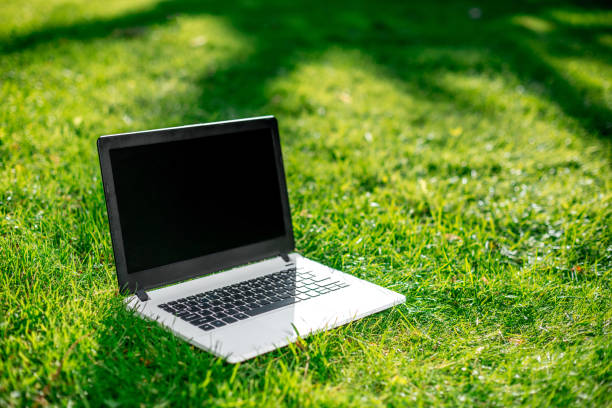 istock Laptop with blank screen on green lawn 822631034