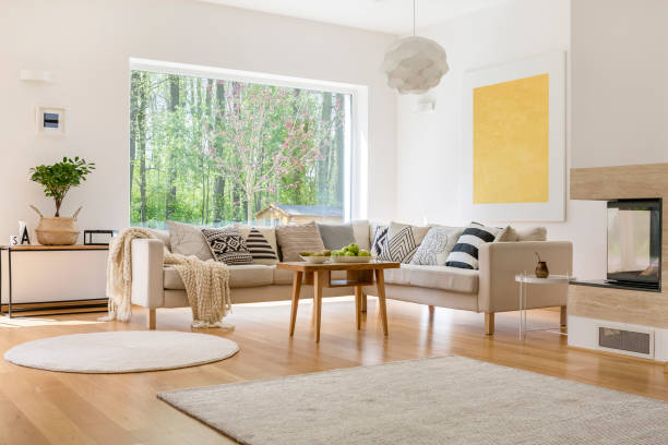 canapé avec des coussins - carpet caucasian domestic room home interior photos et images de collection