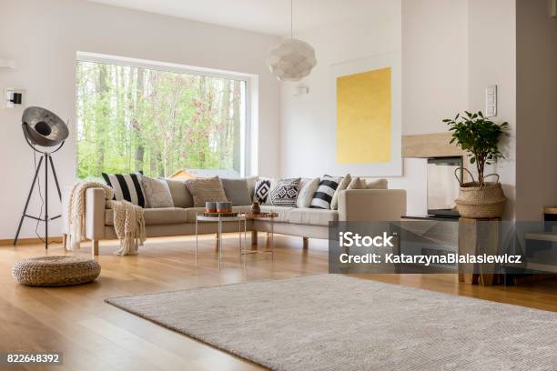 Open Space In Apartment Stock Photo - Download Image Now - Carpet - Decor, Flooring, Living Room