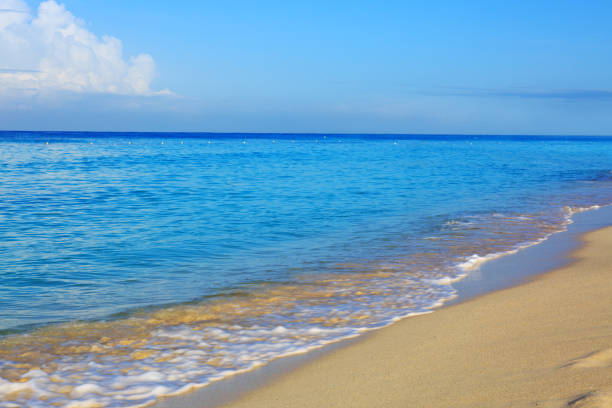 istock Caribbean sea and blue sky 822663826
