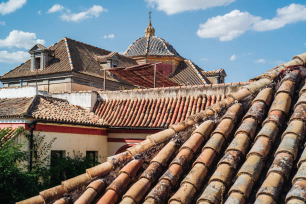 Roof of the wonderful city of Sevilla in Andalusia, Spain