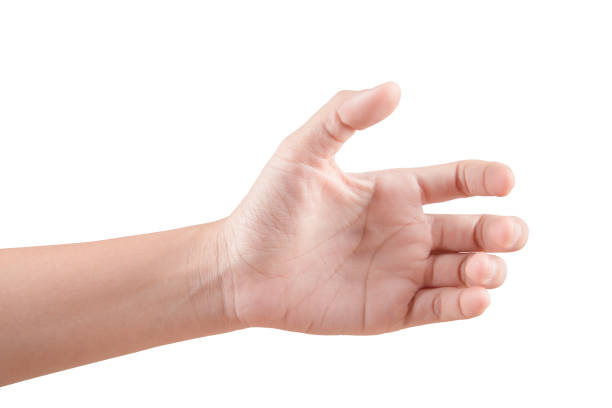 istock Woman beautiful hand holding somthing isolated on white background 822684696