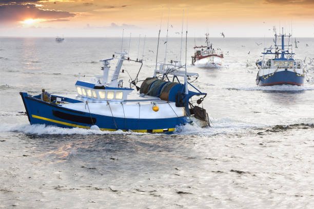 istock Homecoming, France, Atlantic ocean 822693874
