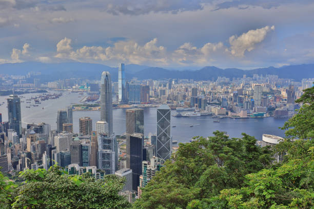 istock Urban architecture in Hong Kong from peak 822701126