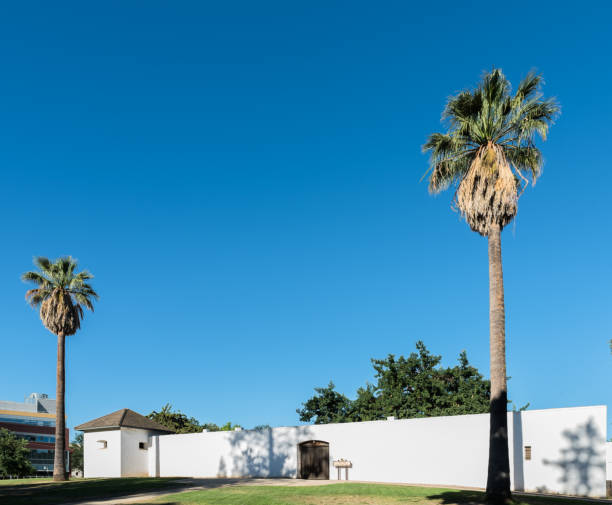 Palm trees in Seville, Spain.
