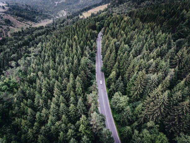istock Car driving on road in the forest 822736238