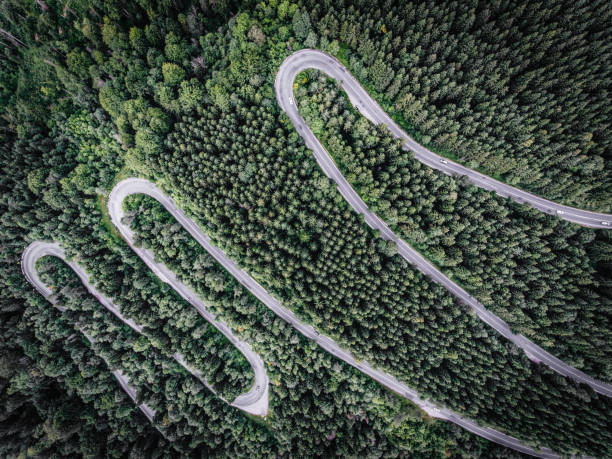istock Winding road in the forest seen from above 822739758