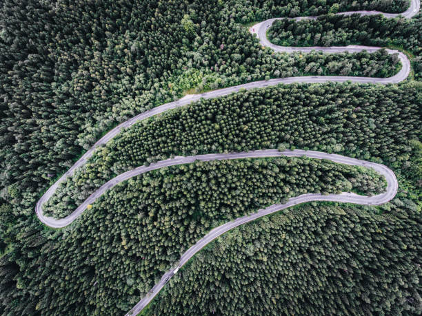 istock Winding road in the forest seen from above 822739902