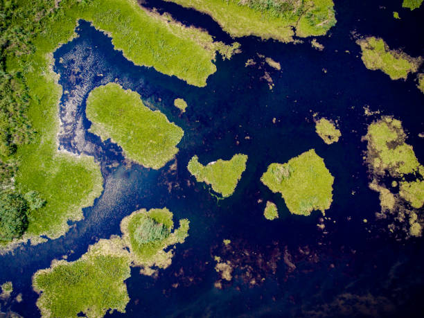 istock Danube Delta from above aerial view 822752710
