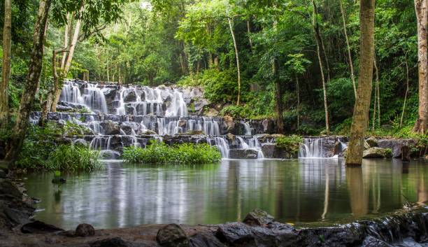 Sam Waterfall 390+ Sam Green Stock Photos, Pictures & Royalty-Free Images - iStock