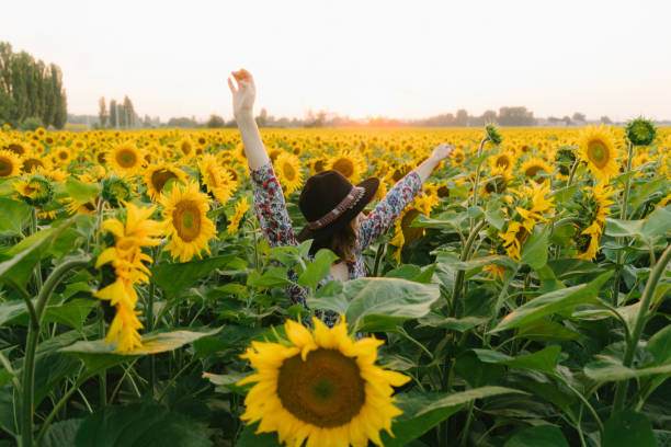 istock Woman dancing in the sunflower field 822802882