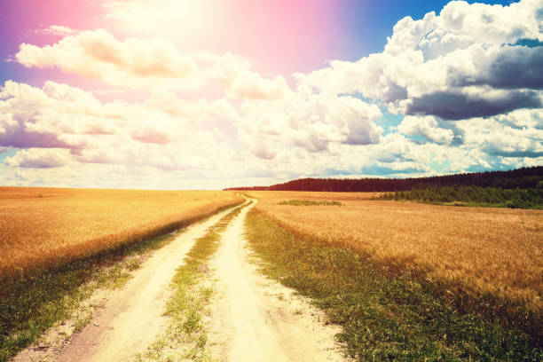 istock Beautiful sky over a dirt road in a wheat field 822805618
