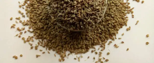 Celery seeds herbal for daily uses