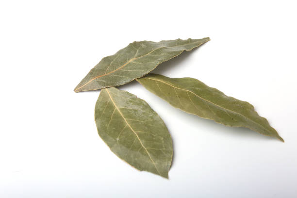 istock Aromatic dried bay leaves on white background. 822829558